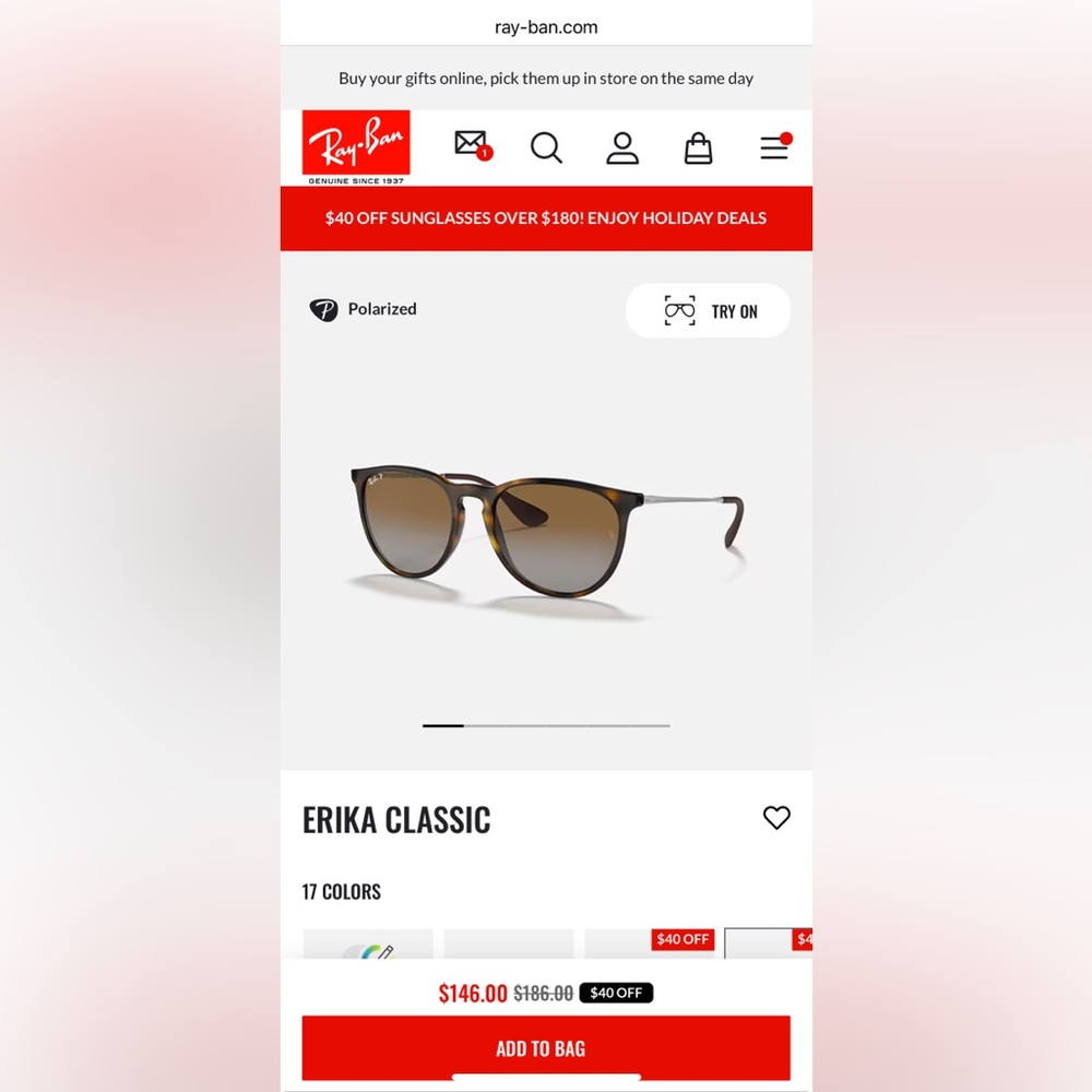 Ray-Ban Erika Sunglasses